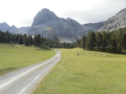 Anteprima - Clicca per ingrandire